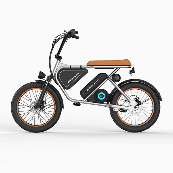 Mid Drive Diy Fat Tire Ebike PamilaBike E3 48V 1000W Electric Bike